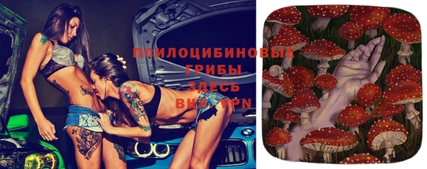 прущая мука Нягань