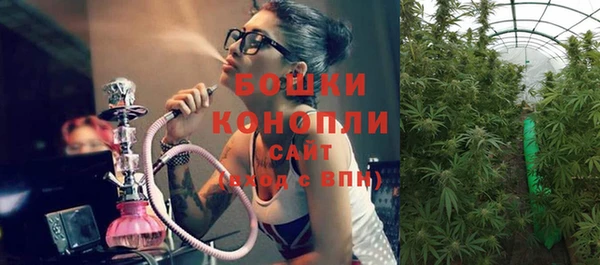 гашик Новодвинск