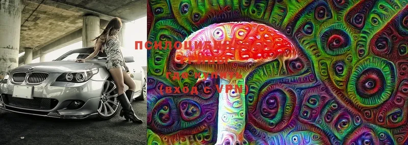 Галлюциногенные грибы MAGIC MUSHROOMS  Кондрово 